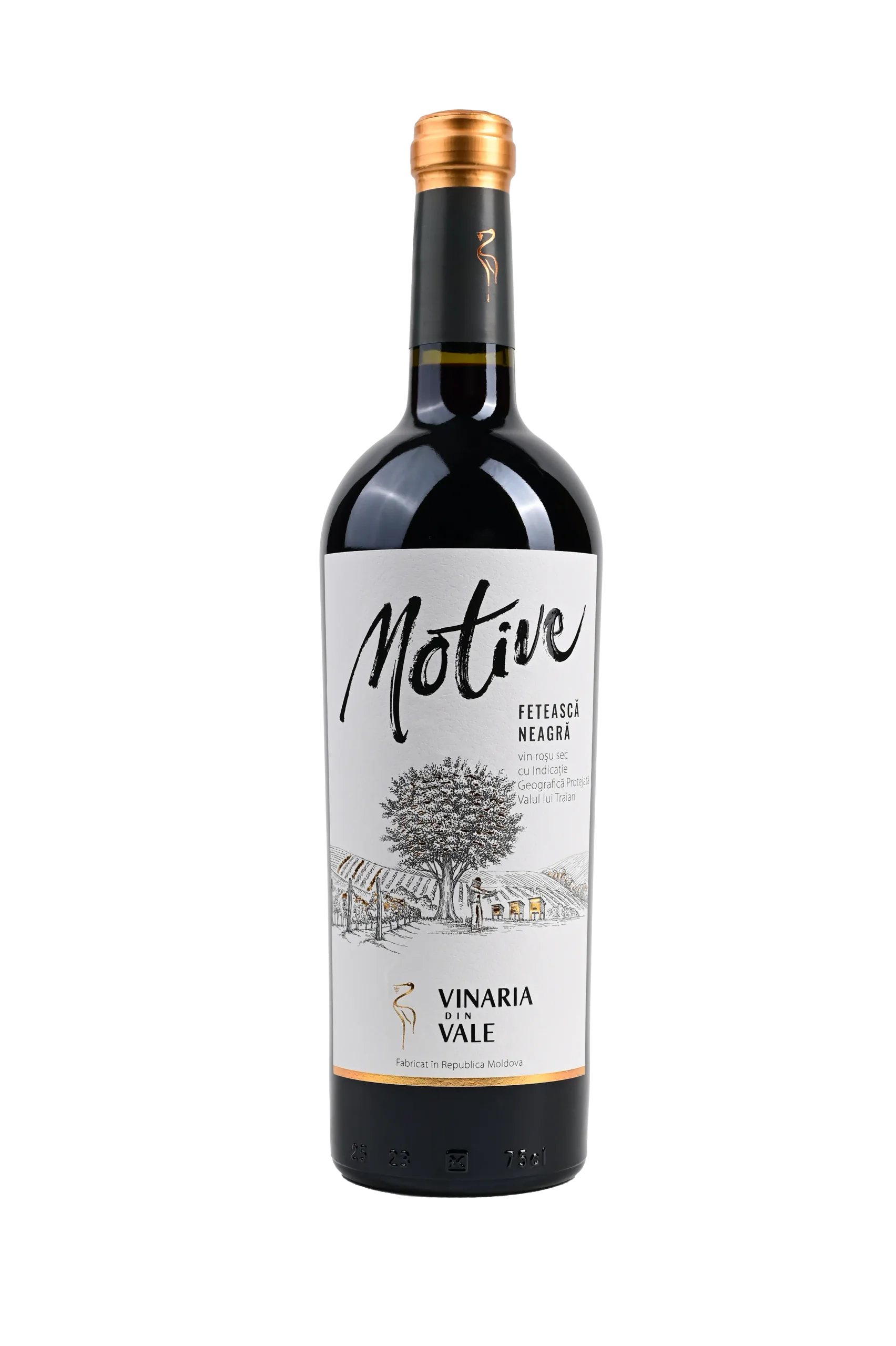 Fetească Neagră (IGP)